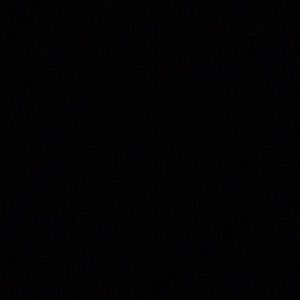 Meet your Posher, Ally